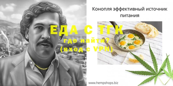 индика Балахна