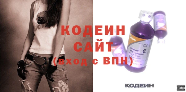индика Балахна