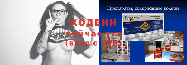 индика Балахна