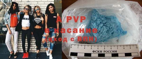 индика Балахна