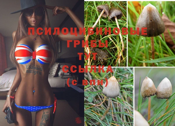 эйфоретик Балабаново