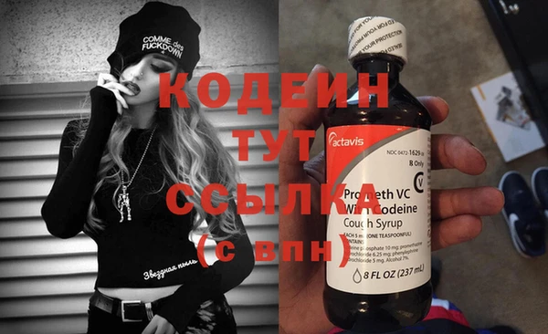 индика Балахна