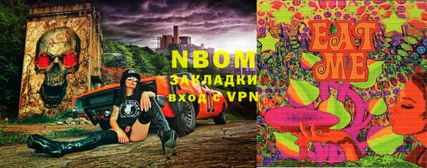 бошки Белокуриха