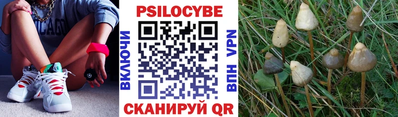 Купить  Безенчук  Псилоцибиновые грибы Magic Shrooms 